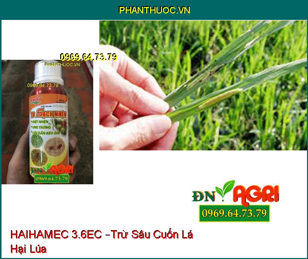 THUỐC TRỪ SÂU HAIHAMEC 3.6EC –Trừ Sâu Cuốn Lá, Rầy Nâu, Bọ Trị Hại Lúa, Hiệu Qủa