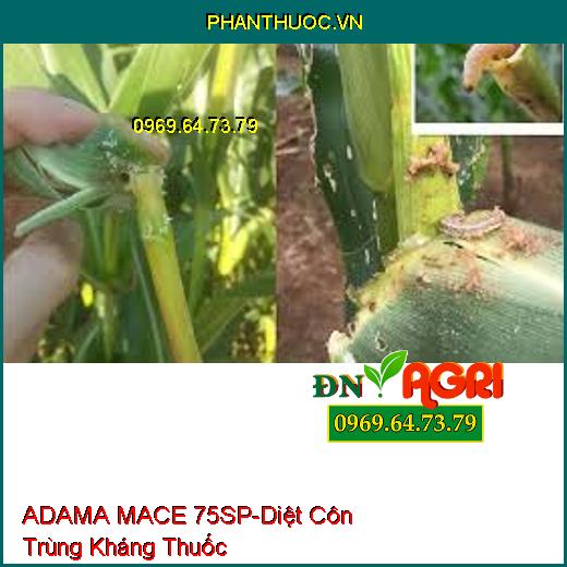 ADAMA MACE 75SP-Diệt Côn Trùng Kháng Thuốc