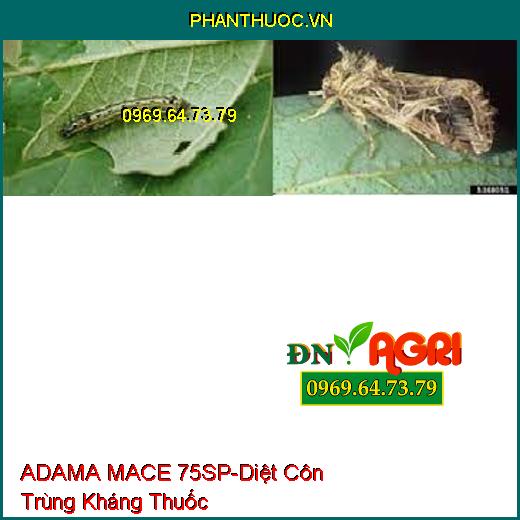 ADAMA MACE 75SP-Diệt Côn Trùng Kháng Thuốc