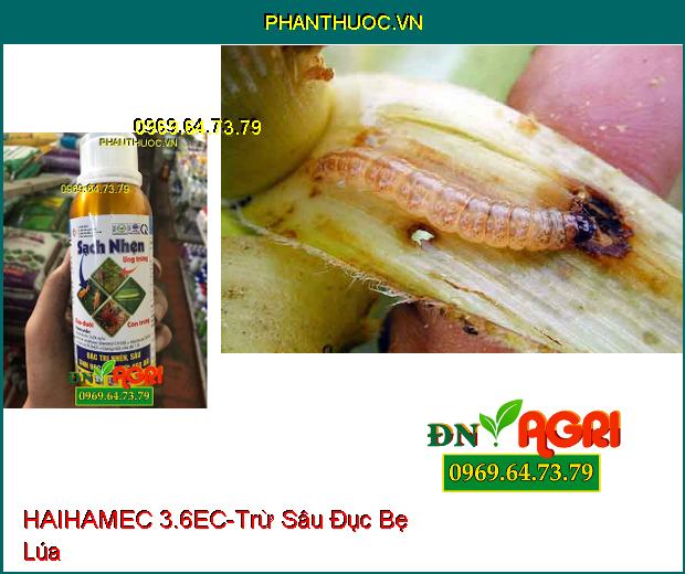 THUỐC TRỪ SÂU HAIHAMEC 3.6EC –Thuốc Trừ Sâu Sinh Học Mới, Trừ Sâu Cuốn Lá