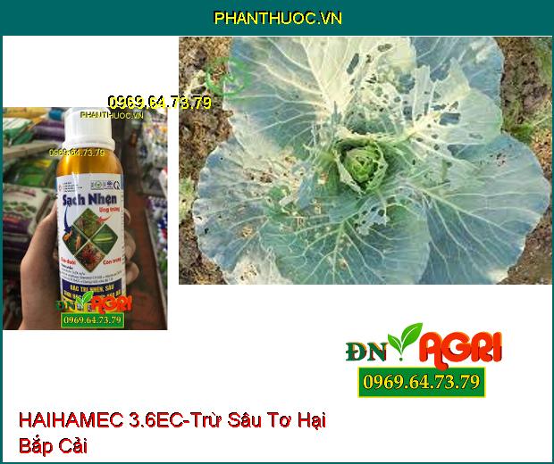 THUỐC TRỪ SÂU HAIHAMEC 3.6EC –Thuốc Trừ Sâu Sinh Học Mới, Trừ Sâu Cuốn Lá