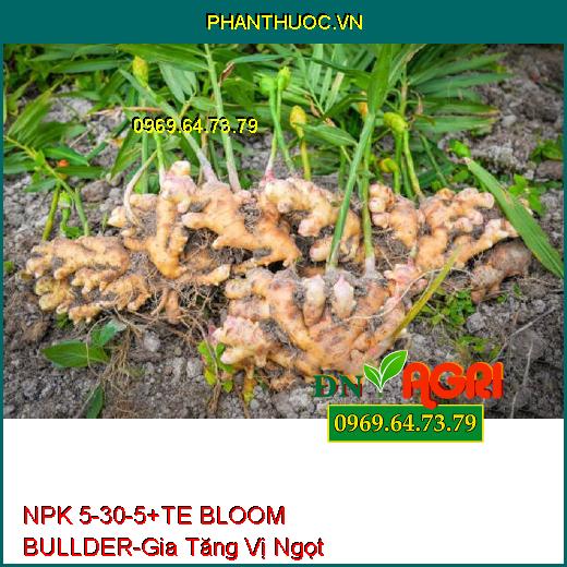 NPK 5-30-5+TE BLOOM BULLDER-Phân Hóa Mầm Hoa, Gia Tăng Vị Ngọt, Phẩm Chất