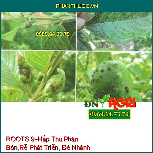 ROOTS 9–Hấp Thu Phân Bón, Rễ Phát Triễn, Đẻ Nhánh, Giảm Sâu Bệnh, Tăng Năng Suất