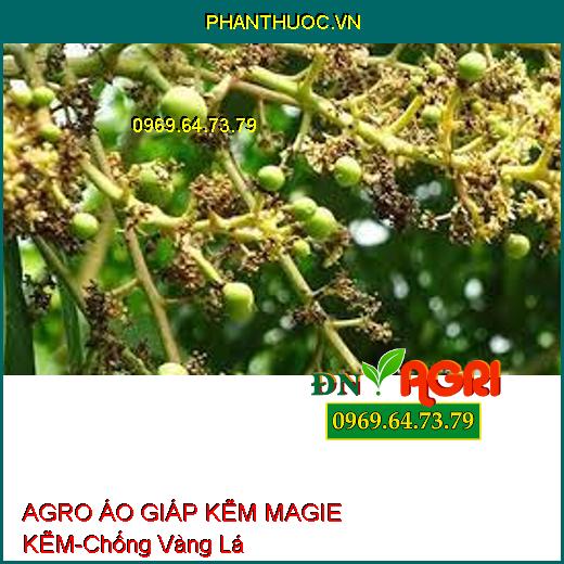 AGRO ÁO GIÁP KẼM MAGIE KẼM-Chống Hiện Tượng Vàng Lá, Rụng Trái, Tăng Năng Suất