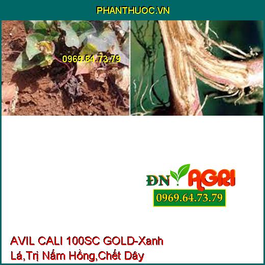 AVIL CALI 100SC GOLD-Nhanh Chống Phục Hôi Cây, Xanh Lá, Trị Nấm Hồng, Chết Dây