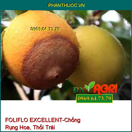 FOLIFLO EXCELLENT-Giúp Chống Rụng Hoa, Thối Trái, Tăng Năng Suất, Chất Lượng