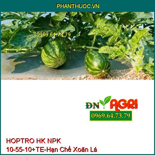 HOPTRO HK NPK 10-55-10+TE-Hạn Chế Xoăn Lá Non, Chống Đén Cây