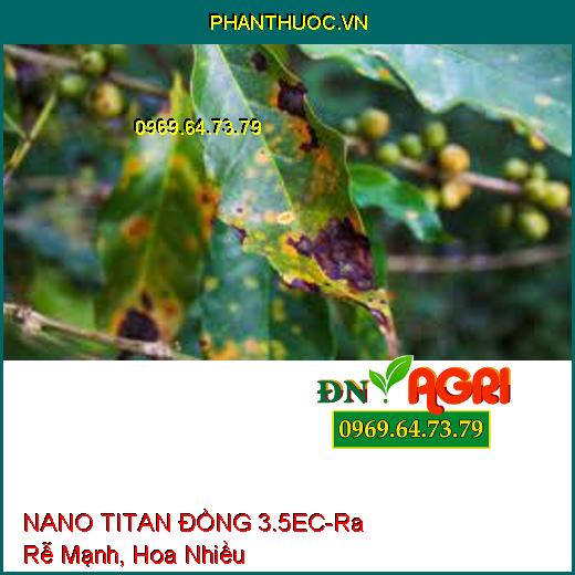 NANO TITAN ĐỒNG 3.5EC-Ra Rễ Mạnh, Ra Hoa Nhiều, Dễ Ra Hoa Đậu Trái