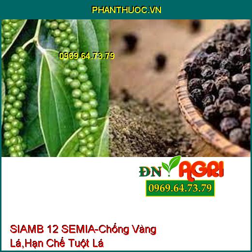 SIAMB 12 SEMIA-Kích Thích Đề Kháng, Chống Vàng Lá, Hạn Chế Tuột Lá Chân