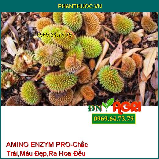 PHÂN BÓN HỮU CƠ KHOÁNG AMINO ENZYM PRO-Chắc Trái , Lên Màu Đẹp, Ra Hoa Đều, Tăng Năng Suất