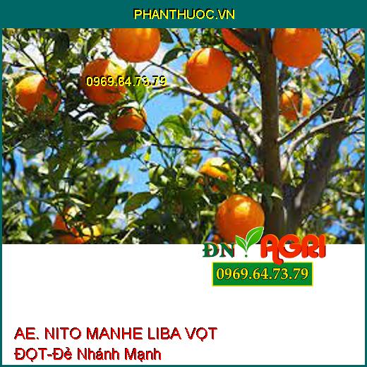 AE. NITO MANHE LIBA VỌT ĐỌT-Đẻ Nhánh Mạnh, Bung Tược, Phát Triển Thân, Lá