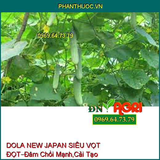 DOLA NEW JAPAN SIÊU VỌT ĐỌT–Đâm Chồi Mạnh, Bung Đọt Hàng Loạt, Cải Tạo Đất