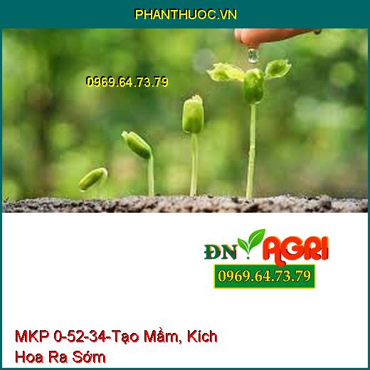 MKP 0-52-34-Tạo Mầm Hoa, Kích Hoa Ra Sớm, Đồng Loạt, Kích Già Lá Nhanh