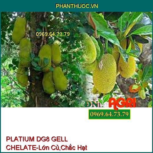 PLATIUM DG8 GELL CHELATE-Siêu Lớn Củ, Cứng Dây, Chắc Hạt, Chín Sớm