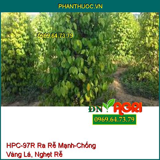 HPC-97R Ra Rễ Cực Mạnh-Chống Vàng Lá, Nghẹt Rễ, Dùng Giâm, Chiết Cành, Ra Rễ