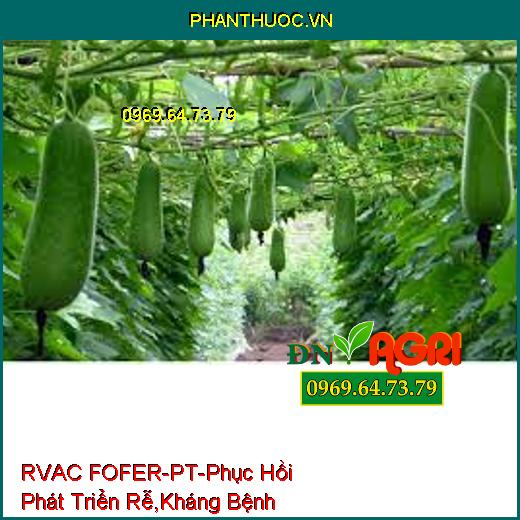 RVAC FOFER-PT-Phục Hồi Phát Triển Rễ, Kháng Bệnh Hại, Vàng Lá, Xu Đọt, Thối Trái