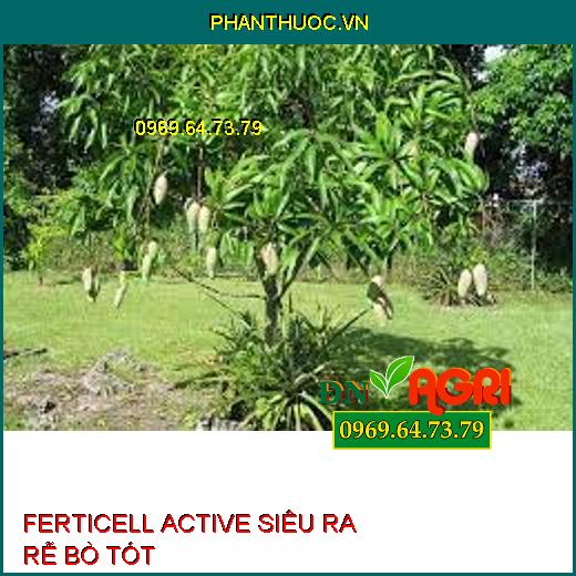 FERTICELL ACTIVE SIÊU RA RỄ BÒ TÓT –Tăng Trưởng Nhanh, Năng Suất, Ngừa Thối Rễ