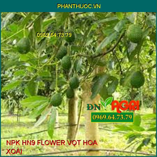 NPK HN9 FLOWER VỌT HOA XOÀI –Phân Hóa Mầm Hoa, Bộ Rễ Bung Mạnh, Đậu Trái Nhiều