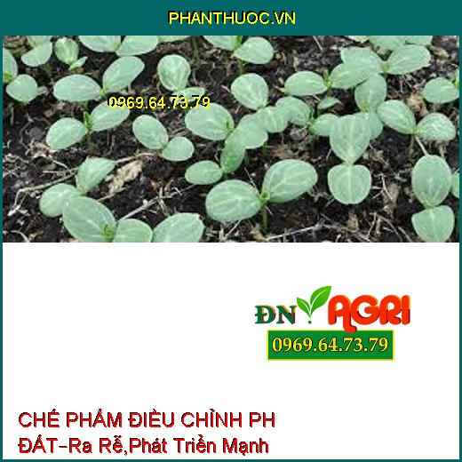 CHẾ PHẨM ĐIỀU CHỈNH PH ĐẤT –Ra Rễ Mạnh, Phát Triển Mạnh, Trị Tuyến Trùng