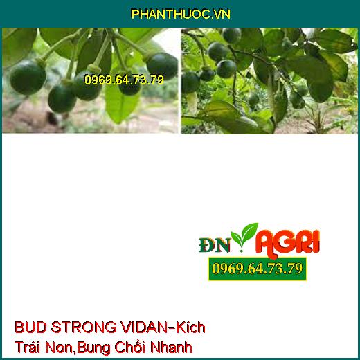 BUD STRONG VIDAN –Kích Trái Non, Bung Chồi Nhanh, Chống Chịu Bệnh Hại, Phát Chồi