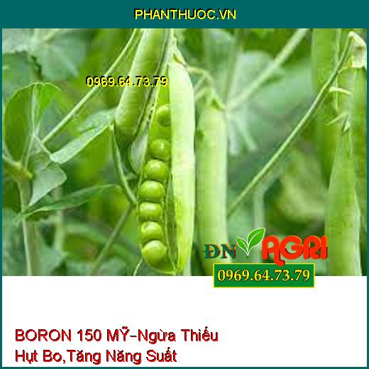 BORON 150 MỸ – Ngăn Ngừa Thiếu Hụt Bo, Tăng Năng Suất, Chất Lượng Cây Trồng