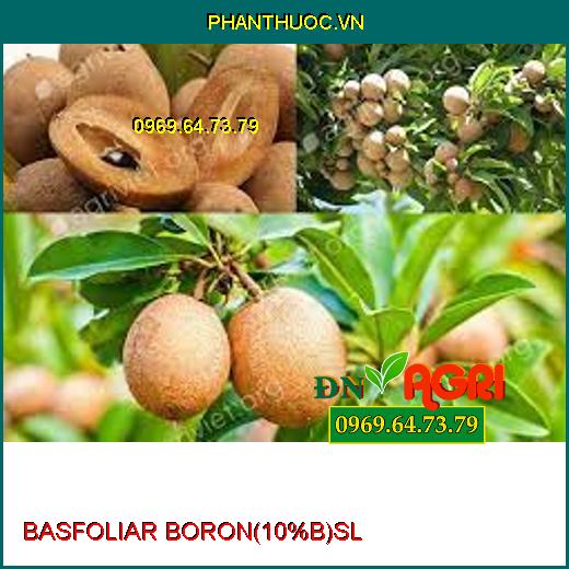 BASFOLIAR BORON (10%B) SL –Ra Hoa Đều, Hạn Chế Rụng Trái Non, Tăng Đậu Qủa