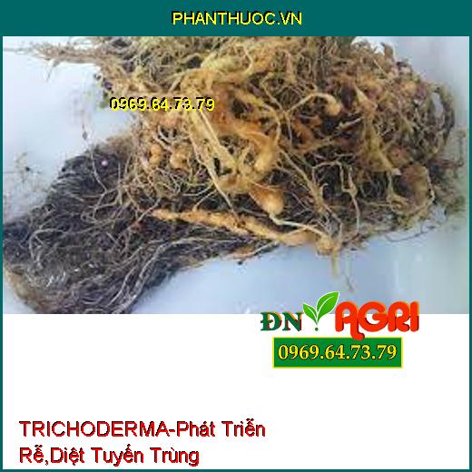 TRICHODERMA-Đối Kháng Mầm Bệnh, Phát Triễn Rễ, Cải Tạo Đất, Diệt Tuyến Trùng