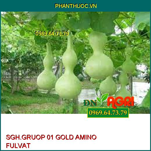 SGH.GRUOP 01 GOLD AMINO FULVAT-Kích Rễ Non Phát Triển, Ngăn Nghẹt Rễ, Tăng Độ PH