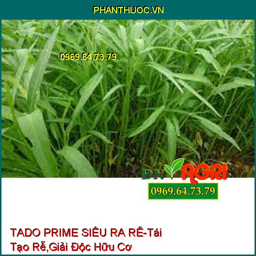 TADO PRIME SIÊU RA RỄ-Tái Tạo Rễ, Hấp Thu Dinh Dưỡng, Giải Độc Hữu Cơ, Phèn