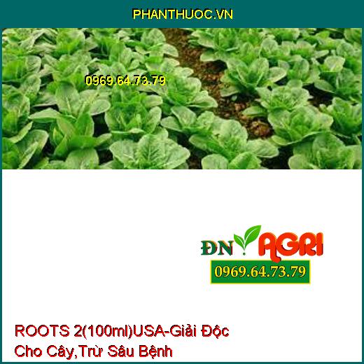 ROOTS 2 (100ml) USA -Giải Độc Cho Cây, Điều Hòa Sinh Trưởng, Trừ Sâu Bệnh