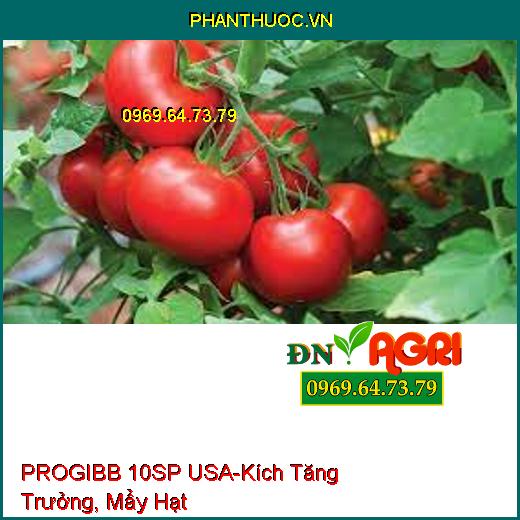 PROGIBB 10SP USA-Kích Tăng Trưởng, Đánh Vỡ Miên Trạng, Mẩy Hạt, Không Bạc Bụng