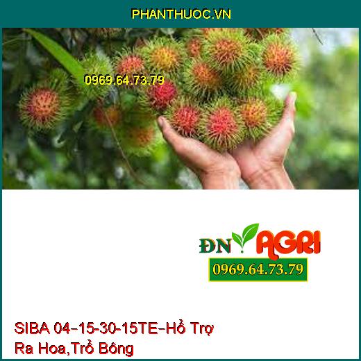 SIBA 04–15-30-15TE– Hổ Trợ Ra Hoa, Trổ Bông Hàng Loạt, Dai Cuống, Trái To, Bóng