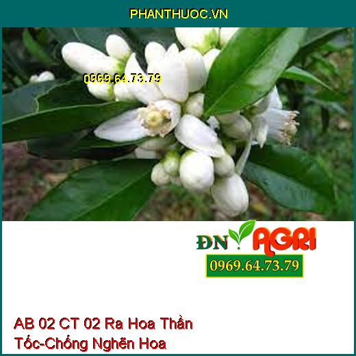 AB 02 CT 02 Ra Hoa Thần Tốc-Chống Nghẽn Hoa, Tăng Khả Năng Thụ Phấn