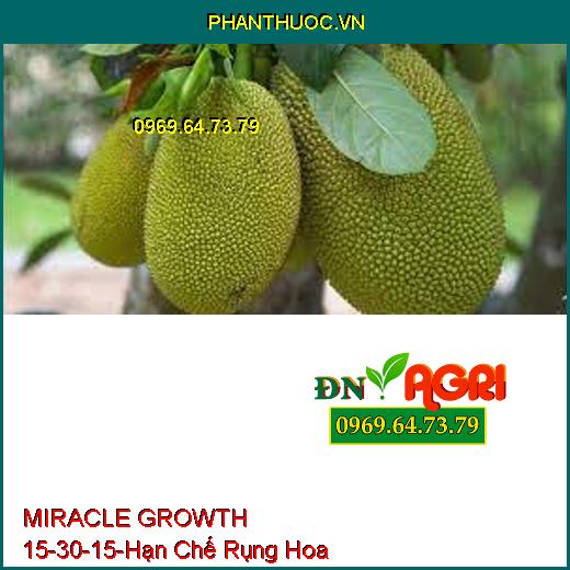 MIRACLE GROWTH 15-30-15-Hạn Chế Rụng Hoa, Siêu Ra Rễ, Đâm Chồi, Đẻ Nhánh