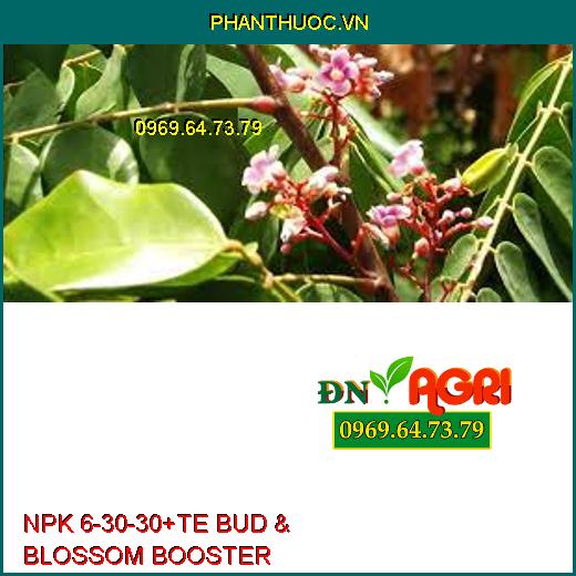 NPK 6-30-30+TE BUD & BLOSSOM BOOSTER-Trổ Đều, Chắc Hạt, Tăng Năng Suất