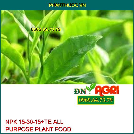 NPK 15-30-15+TE ALL PURPOSE PLANT FOOD-Đâm Chồi Đẻ Nhánh, Chống Rụng Hoa, Trái