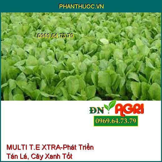 MULTI T.E XTRA-Phát Triển Tán Lá, Cây Xanh Tốt, Tăng Quang Hợp