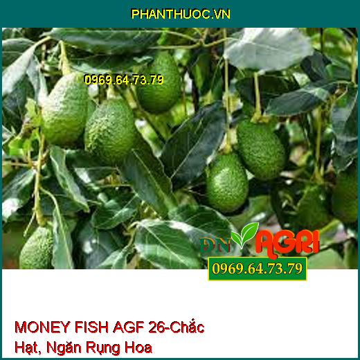 MONEY FISH AGF 26-Nuôi Trái Lớn Nhanh, Chắc Hạt, Ngăn Rụng Hoa, Tăng Năng Suất