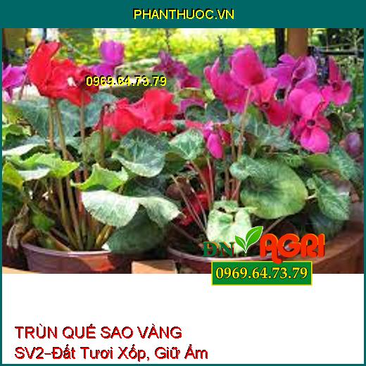 PHÂN HỮU CƠ TRÙN QUẾ SAO VÀNG SV2 –Dùng Cho Hoa Kiểng, Đất Tươi Xốp, Giữ Ẩm