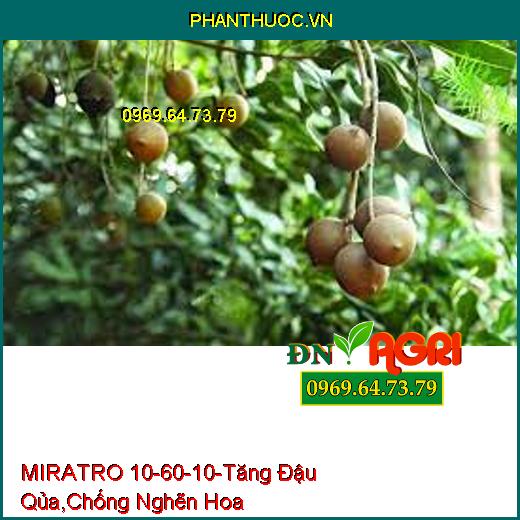 MIRATRO 10-60-10-Tăng Đậu Qủa, Hạ Phèn, Chống Nghẽn Hoa, Rễ Phát Triễn Nhanh