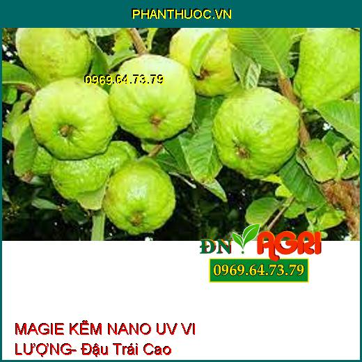 MAGIE KẼM NANO UV VI LƯỢNG- Đậu Trái Cao, Hạn Chế Rụng Trái, Nứt Thân, Xì Mủ