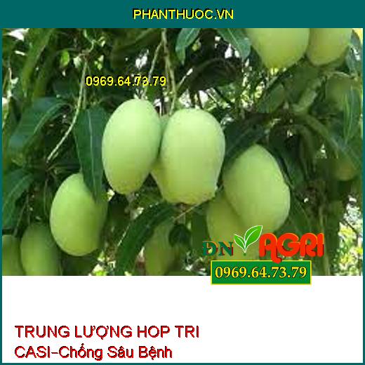 PHÂN BÓN LÁ TRUNG LƯỢNG HOP TRI CASI –Chống Sâu Bệnh, Ngăn Ngừa Sượng, Nám Trái