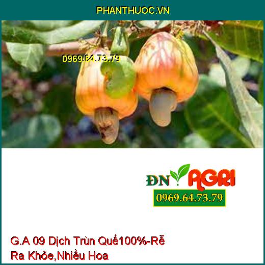 G.A 09 Dịch Trùn Quế 100%-Cây Trồng Trưởng Thành Mạnh, Rễ Ra Khỏe, Ra Nhiều Hoa