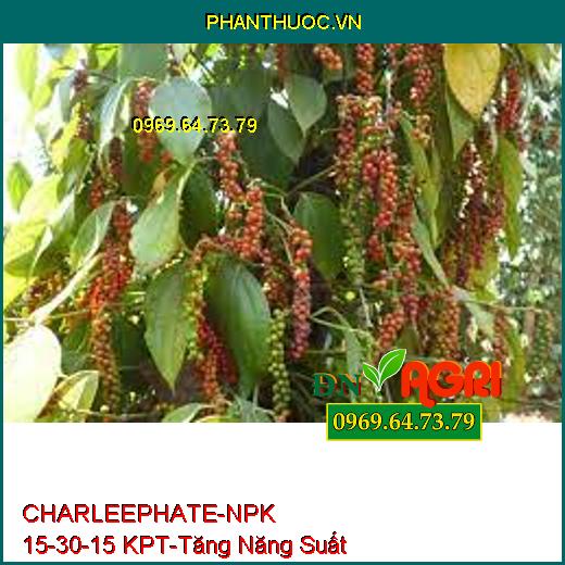 CHARLEEPHATE-NPK 15-30-15 KPT-Thúc Đẩy Phát Triển Cây, Hoa Đẹp , Tăng Năng Suất