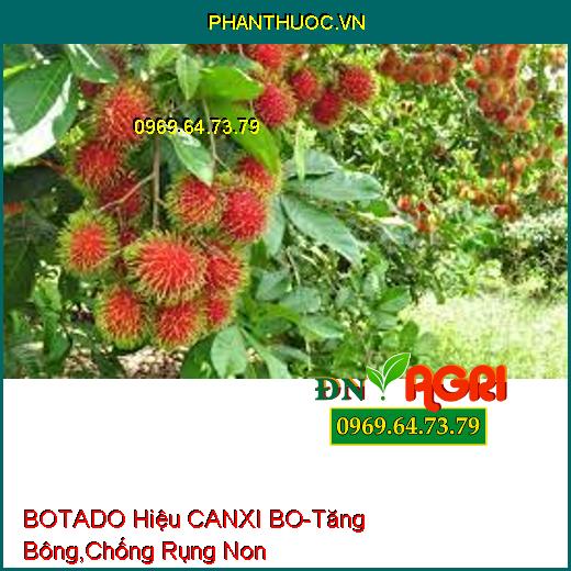 BOTADO Hiệu CANXI BO-Tăng Bông, Chống Rụng Non, Hạn Chế Nấm Bệnh