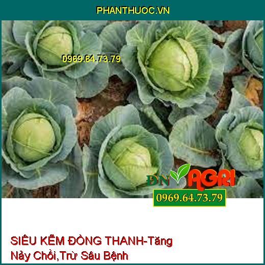 SIÊU KẼM ĐỒNG THANH-Tăng Nảy Chồi, Trừ Sâu Bệnh, Bổ Sung Kẽm