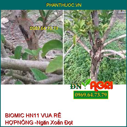 BIOMIC HN11 VUA RỄ HỢP NÔNG -Mát Bông, Rễ Khỏe, Ngăn Xoắn Đọt, Nứt Thân, Xì Mủ