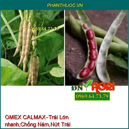 PHÂN BÓN LÁ OMEX CALMAX –Trái Lớn nhanh, Nặng Ký, Chống Nám Trái, Nứt Trái