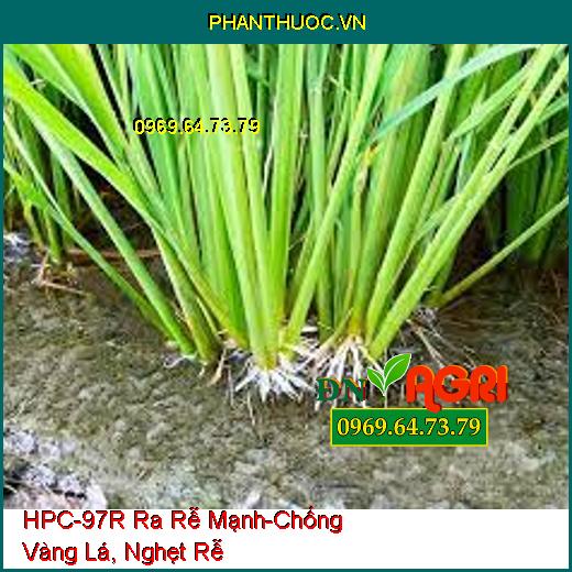 HPC-97R Ra Rễ Cực Mạnh-Chống Vàng Lá, Nghẹt Rễ, Dùng Giâm, Chiết Cành, Ra Rễ