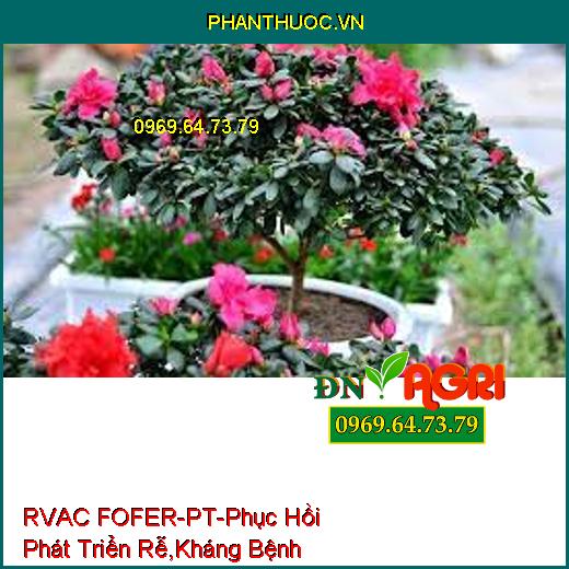 RVAC FOFER-PT-Phục Hồi Phát Triển Rễ, Kháng Bệnh Hại, Vàng Lá, Xu Đọt, Thối Trái